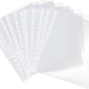 PAPER PROTECTORS A4 WITH HOLES CLASS (100PCS)