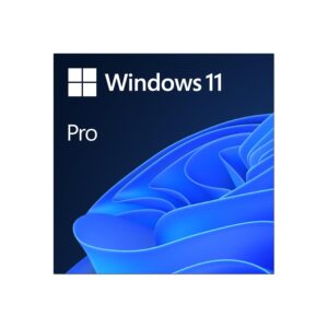 WINDOWS 11 PRO 64 BIT